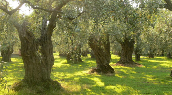 Il perdono non e’ un cammino facile