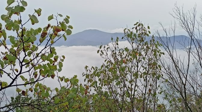 Gli spiriti impuri cadevano ai suoi piedi