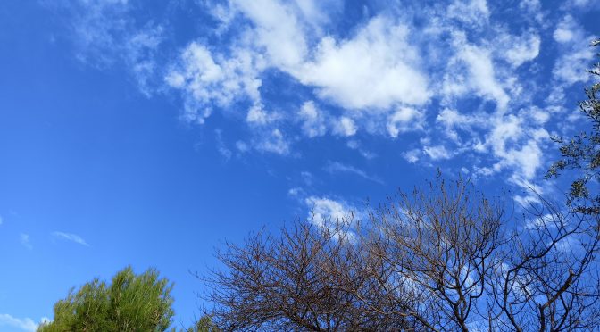 Il mondo cambia e io che faccio?