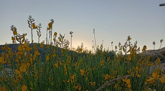 Il prezzo della libertà
