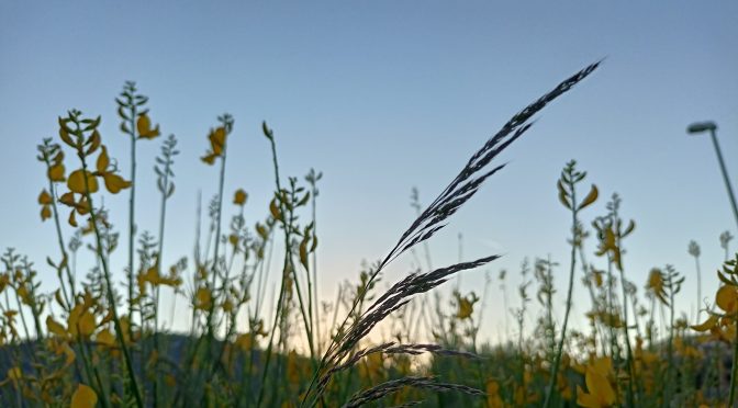 Verso il cielo