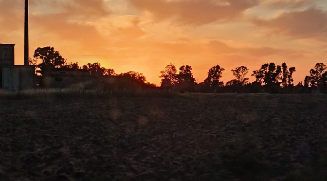 Voi siete il sale della terra