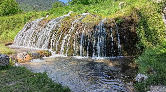 La pagliuzza e la trave