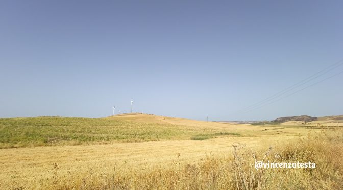 Fra i campi di grano