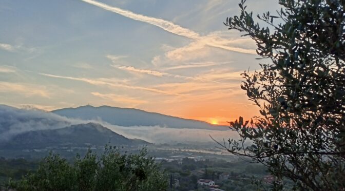 Il granello crebbe e divenne albero
