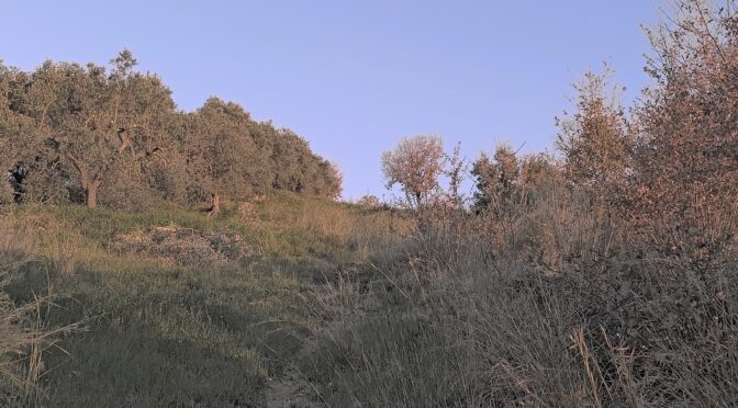 Li condusse su un monte alto