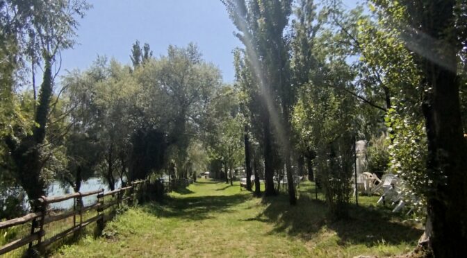 Non sono venuto a portare pace