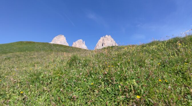 Sarete traditi