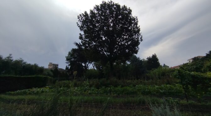 Beati…