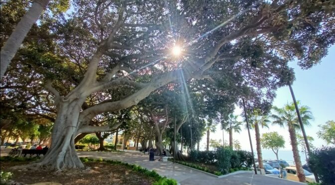 La luce è venuta del mondo