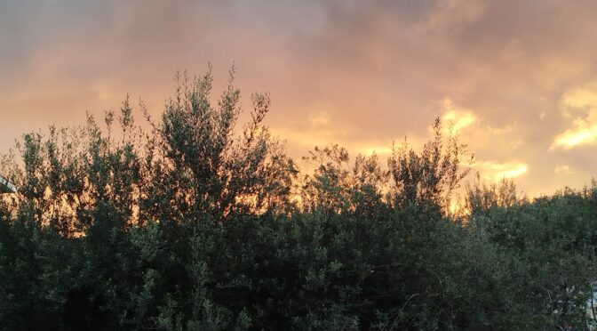 Il vento soffia dove vuole
