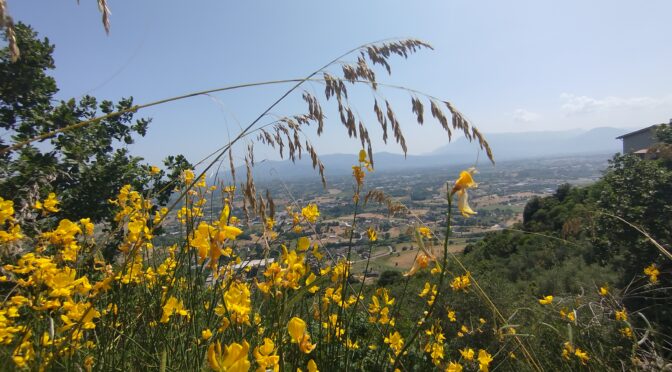 Lo Spirito della verità