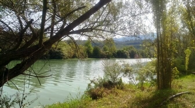 E subito si alzò in piedi e li serviva.