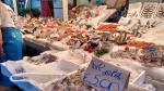 Palermo 1 (6).jpg
