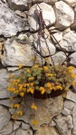 Primaveraa-eremo-web-2.jpg
