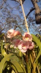 Primaveraa-eremo-web-4.jpg