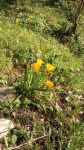 Primaveraa-eremo-web-5.jpg