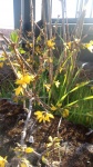 Primaveraa-eremo-web-6.jpg
