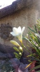 Primaveraa-eremo-web-8.jpg
