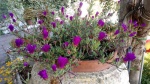 Primaveraa-eremo-web-11.jpg