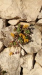 Primaveraa-eremo-web-12.jpg